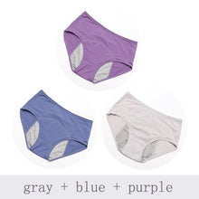 Load image into Gallery viewer, Period Panties ( 3pcs )
