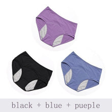 Load image into Gallery viewer, Period Panties ( 3pcs )
